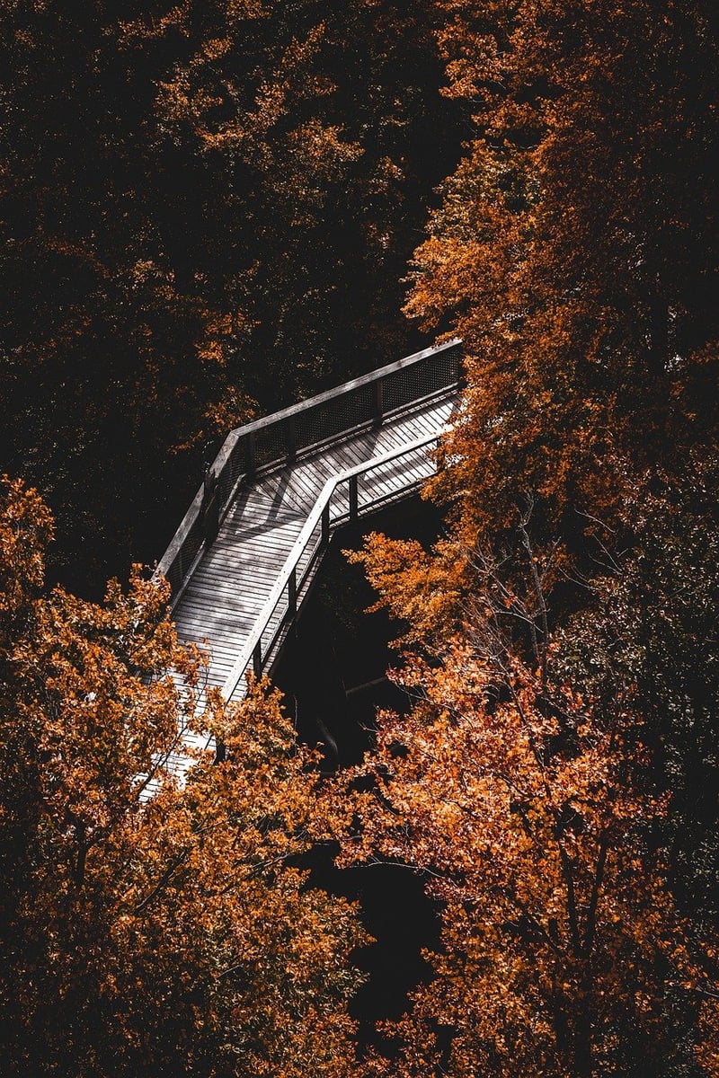 Mindful Hike